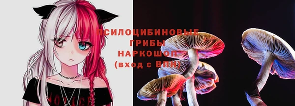 экстази Алексин