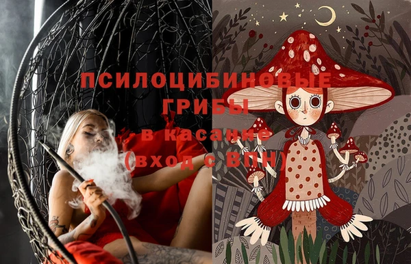 МДПВ Алзамай