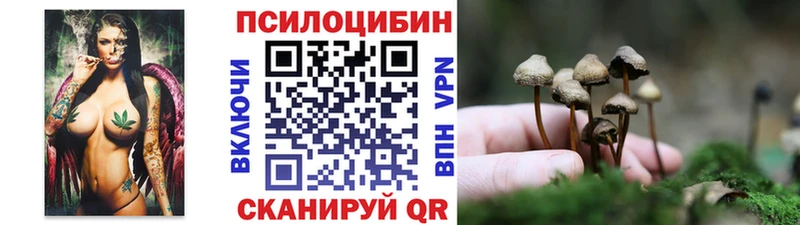 нарко площадка телеграм  blacksprut зеркало  Нолинск  Галлюциногенные грибы прущие грибы 